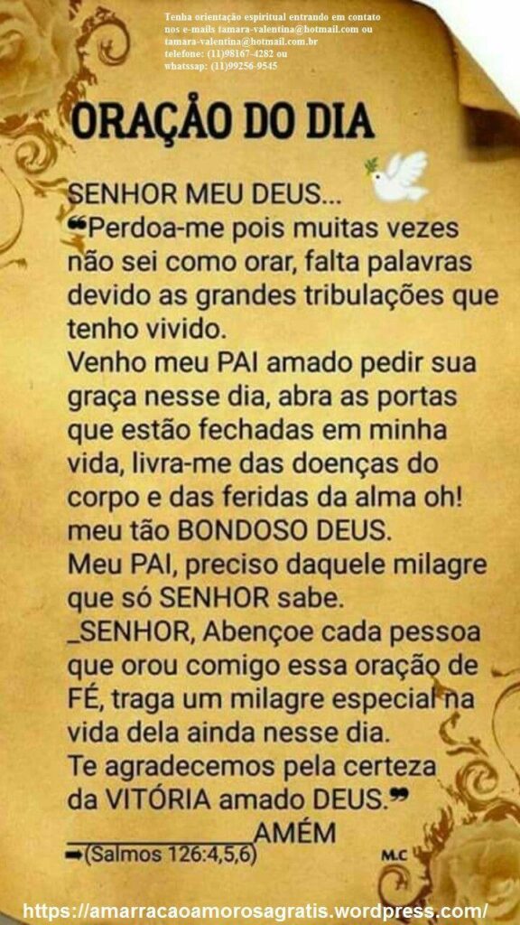 Oração do Dia 31 de Dezembro: Agradeça e Renove suas Esperanças para o Novo Ano!